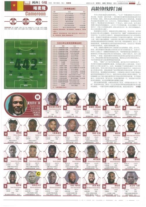 最新世界杯报道与排名详细解析指南